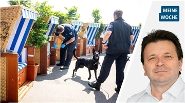 Polizeihunde schnüffeln vor der Innenministerkonferenz in Bremerhaven an Strandkörben