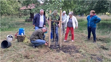 Männer und Frauen pflanzen einen Baum