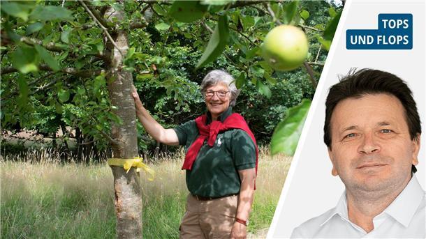 Obst direkt vom Baum: Warum im Cuxland Gelb eigentlich für grün steht Links: Frau am Apfelbaum. Rechts: Ismail Kul.