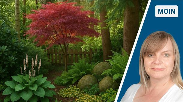Ein visualisierter Garten und ein Porträtfoto einer Frau