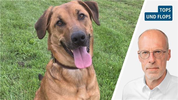 Von Abenteuer bis zu Sexismus: Die Tops und Flops der Woche