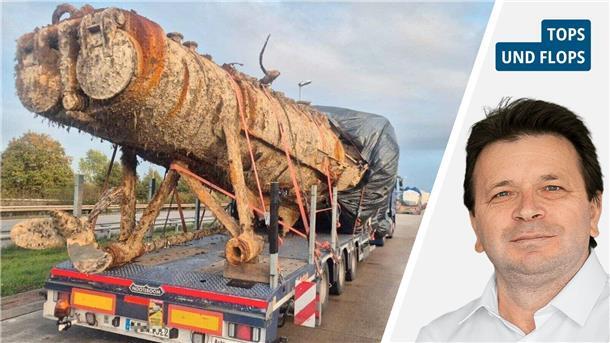 Vogelgrippe, Wolfsdebatte und Wrack des U16: Die Woche im Rückblick Links: Ein Lkw transportiert ein Wrack. Rechts: NZ-Autor Ismail Kul.