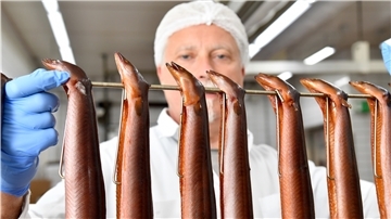 Andree Fiedler ist mit dem Räuchern von Fischen groß geworden. 