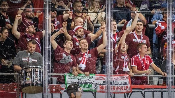 Eishockeyfans feuern von einer Tribüne aus an.