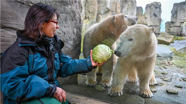 5 Dinge, die Sie noch nicht über den Zoo am Meer wussten 5 Dinge, die Sie noch nicht über den Zoo am Meer wussten