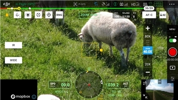 Bill Gutbier aus Nordenham hat sich auf Drohnentechnik spezialisiert. Dieses Drohnenbild aus der Luft zeigt ein Schaaf auf dem Deich im vierzigfachen Zoom.