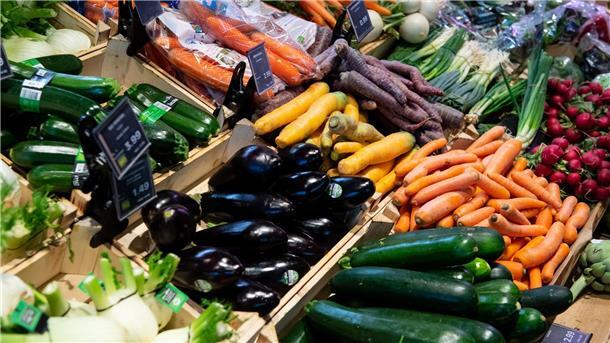Discount-Trend bremst Umstellung zu mehr Bio-Landwirtschaft Bio oder Discount? Wegen der hohen Inflation entscheiden sich mehr Konsumenten für die günstigere Variante im Supermarktregal.