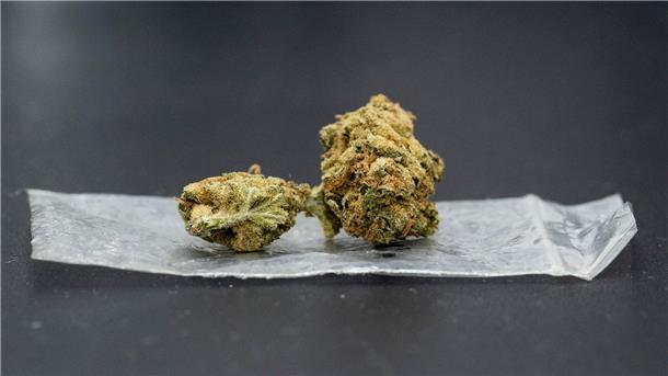 Cannabis-Gesetzentwurf fertig Bis zu 25 Gramm Cannabis sollen künftig erlaubt sein.