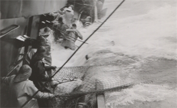 Bis zu den Hüften im eisigen Wasser: Hochseefischer Hans Crueger (85) hat das als junger Mann selbst erlebt. Für uns hat er Fotos einer Fangfahrt im Nordatlantik von 1954 erläutert. Das alte Fotoalbum und der rüstige Kapitän a. D.: Ein multimediales Dokument der maritimen Geschichte Bremerhavens - zum Lesen, Sehen und Hören.