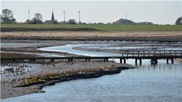 Langwarder Groden