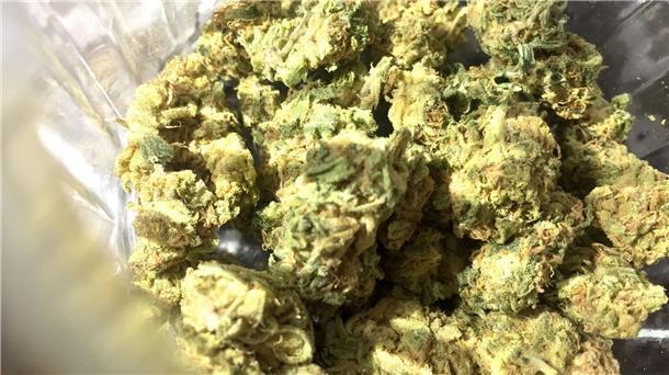 Bis zur Volljährigkeit soll Cannabis nach dem geplanten Gesetz verboten bleiben.