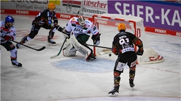 Bislang haben die Fischtown Pinguins in dieser Saison alle drei Spiele gegen die Augsburger Panther gewonnen.