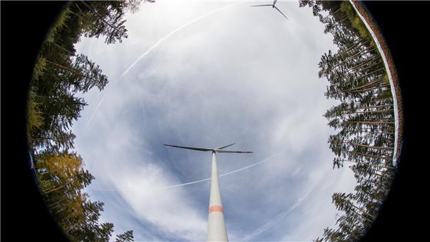 Windkraftanlage in einem Wald.