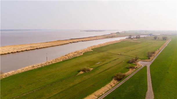 Bundesverwaltungsgericht weist Klagen gegen A20-Elbtunnel ab Blick auf das Deichvorland in dem Bereich, in dem ein Tunnel unter der Elbe durchlaufen soll.