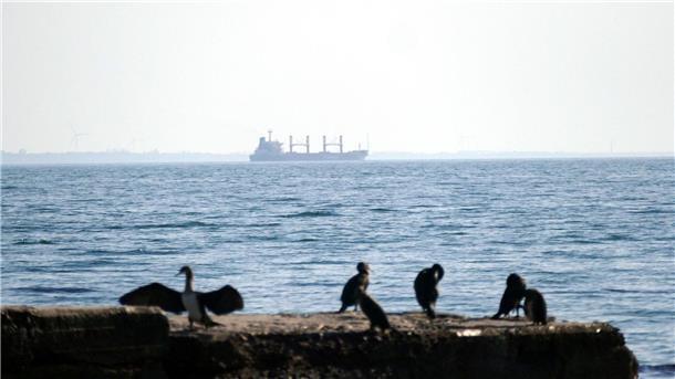 Explosion an Schiff im Schwarzen Meer Blick auf das Schwarze Meer vom Hafen in Odessa. (Symbolbild)