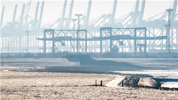 Blick auf die Containerbrücken des Containerterminals 4 und Grauwallkanal-Siel.