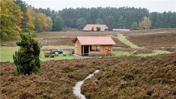 Einigung über Schutzhütte in Lüneburger Heide möglich Blick auf eine Schutzhütte in in Kronsbergheide in der Lüneburger Heide.