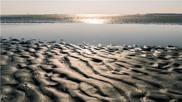 Blick auf einen Priel im Wattenmeer zwischen Cuxhaven und der Insel Neuwerk.