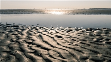 Blick auf einen Priel im Wattenmeer zwischen Cuxhaven und der Insel Neuwerk.