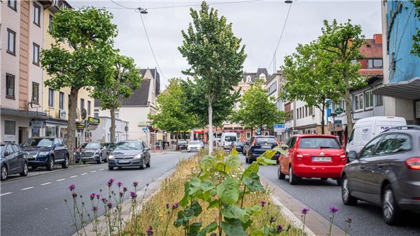 Blick in die Rickmersstraße mit jungem Baumbestand und aufgefrischter Verkehrsführung. So sollen auch andere Schutzflächen an großen Straßen umgestaltet werden. Foto: Hartmann