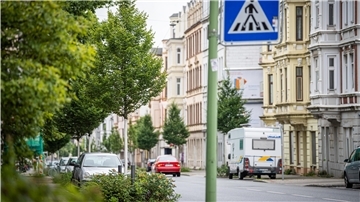 Blick in die Rickmersstraße mit jungem Baumbestand und aufgefrischter Verkehrsführung: Die neue Grünflächenstrategie der Stadt wirkt bereits.