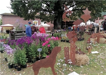 Blütenpracht zum Herbst mit Phlox und Co. beim Hesedorfer Kunsthandwerkermarkt.