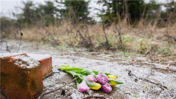 Nach Tod eines 14-Jährigen: Anklage gegen Gleichaltrigen Blumen liegen an einer Tannenbaumschonung und einem Brachgelände in Wunstorf-Blumenau in der Region Hannover.