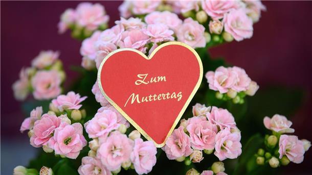 Blumen zählen zu den beliebtesten Geschenken zum Mutterag (Symbolbild).