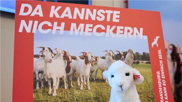 Wessis für Umzug gesucht: „Sympathisches Brandenburg“ Brandenburg wirbt mit einer neuen Kampagne für Zuzüge aus Westdeutschland. (Archivbild)