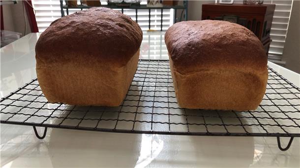 Zwei selbst gebackene Brote auf einem Abkühlrost.