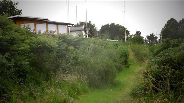 Mehrere Holzbuden, davor Büsche und Rasen
