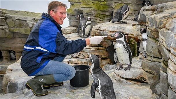 Bürgerschaftspräsident Frank Imhoff ist seit Jahren, wie hier im Zoo am Meer, unterwegs, um bei den Bürgern bekannt zu werden. Sein Ziel: Er wollte CDU-Spitzenkandidat bei der Bürgerschaftswahl im kommenden Jahr werden. Nun hat er offenbar Konkurrenz bekommen.