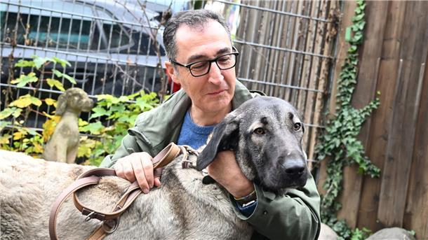 Tierheime in Not Bundeslandwirtschaftsminister Cem Özdemir streichelt bei seinem Besuch im Tierheim in Stuttgart-Botnang eine Kangal-Hirtenhündin.