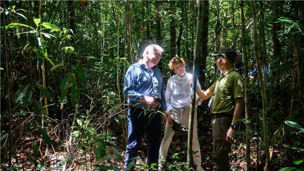 Steinmeier lobt Malaysia für Klimaschutz Bundespräsident Frank-Walter Steinmeier (l-r) und seine Frau Elke Büdenbender werden im Kuching Wetland Nationalpark durch einen Urwald geführt.