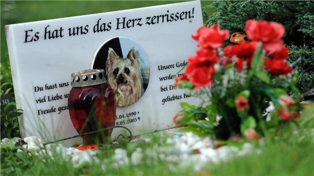 Bundesweit steigt die Nachfrage nach Urnenbestattungen von Haustieren schon seit Jahren. Im Landkreis Cuxhaven gibt es bislang aber noch keinen Tierfriedhof – in Bremerhaven schon.