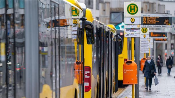 Messerattacke in Berliner Bus: Tatverdächtiger festgenommen Busse der Berliner Verkehrsbetriebe (Symbolbild).