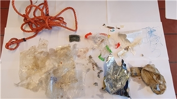 Chipstüten, Verpackungen von Süßigkeiten, Plastikfolie und Seile. Viele verschiedene Plastik-Arten finden die Schüler im Hafen.