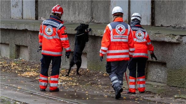 Dabei sind mehrere Rettungshundestaffeln im Einsatz.