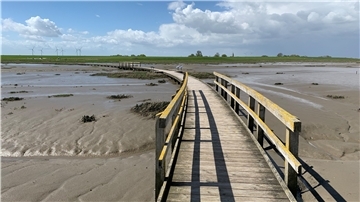 Ein Steg am Wattenmeer.