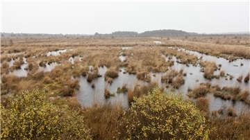 Das Ahlenmoor ist mit einer Fläche von rund 40 Quadratkilometern das größte Hochmoor im Landkreis Cuxhaven und gehört - neben dem Teufelsmoor - zu den größten Mooren Niedersachsens.