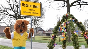 Hanni Hase