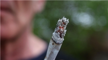 Das Cannabis-Gesetz der Ampel-Koalition kann wie vorgesehen am 1. April in Kraft treten.