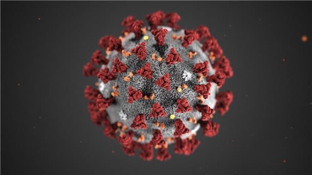Das Coronavirus ist auch wieder im Landkreis Rotenburg aktiv.