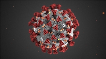 Das Coronavirus ist auch wieder im Landkreis Rotenburg aktiv.