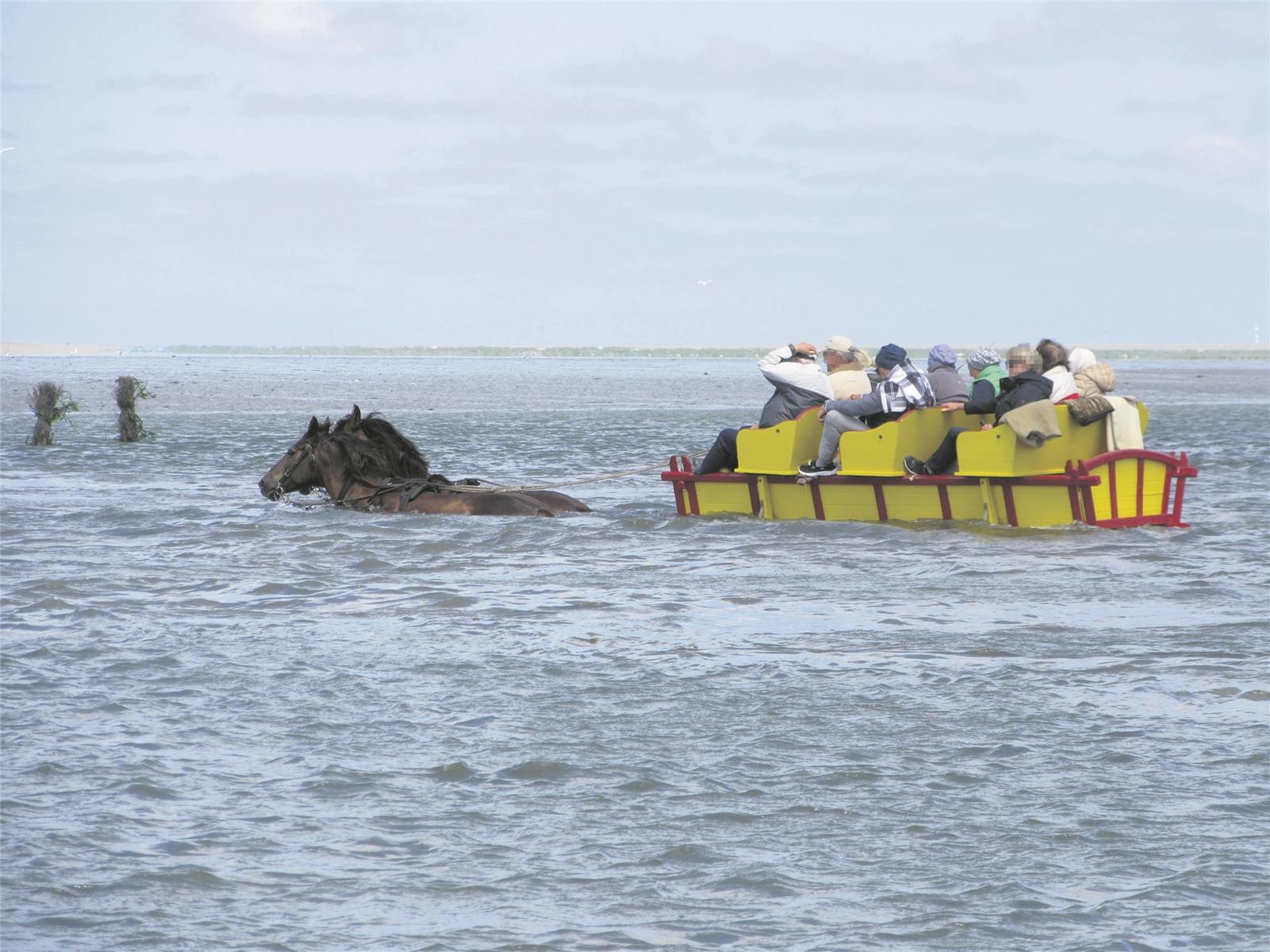 Das Duhner Loch wird immer tiefer. Überschreitet der Wasserstand 1,30 Meter, müssen die Wattwagenfahrer umkehren.