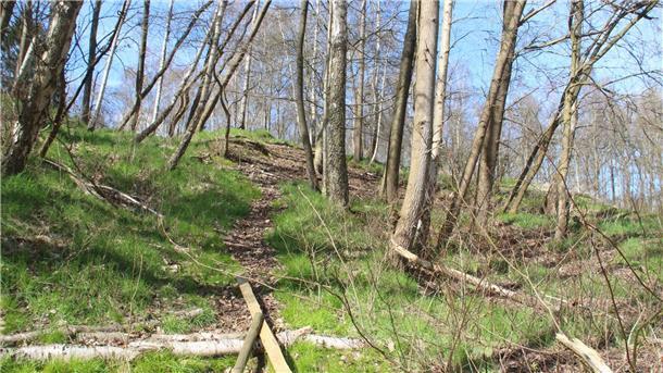 Das Elchtal in der Wingst ist ein grünes Idyll in direkter Nachbarschaft zu den Freizeiteinrichtungen. Die Gemeinde setzt auf sanften Tourismus.