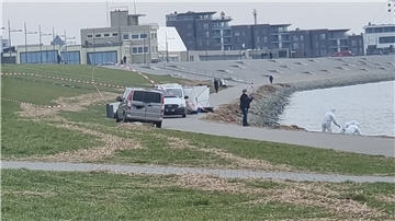 Fahrzeuge parken am Deich. 