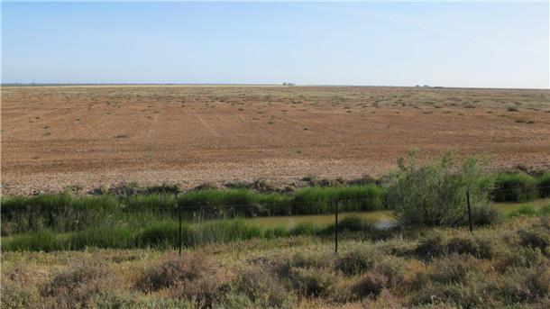 Europas größtes Feuchtgebiet verdorrt Das Feuchtgebiet Doñana ist in weiten Teilen von Austrocknung bedroht. Nur Gräben und einige wenige der früher zahlreichen Lagunen führen derzeit noch etwas Wasser.