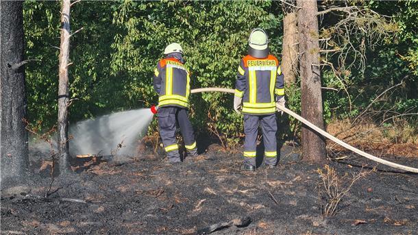 Das Feuer im Waldgebiet ist schnell entdeckt worden, daher konnte die Feuerwehr rasch eingreifen.