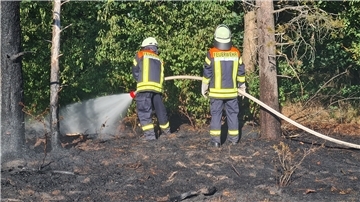 Das Feuer im Waldgebiet ist schnell entdeckt worden, daher konnte die Feuerwehr rasch eingreifen.